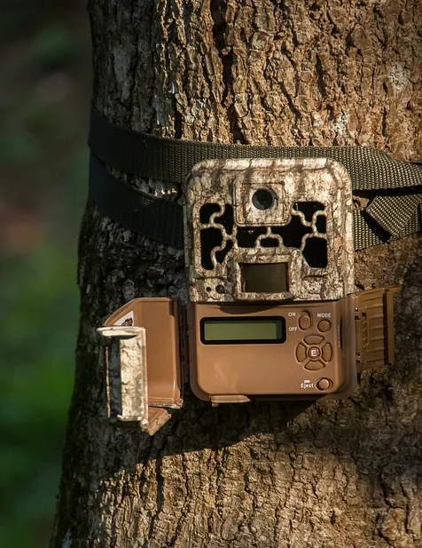 trail cameras